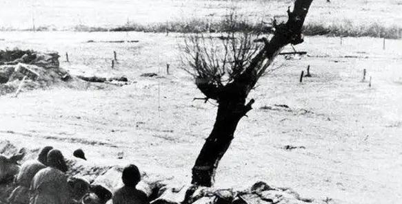 1950年的一天，5000土匪将解放军包围了起来，意外的是：匪首因听错哨兵一个字