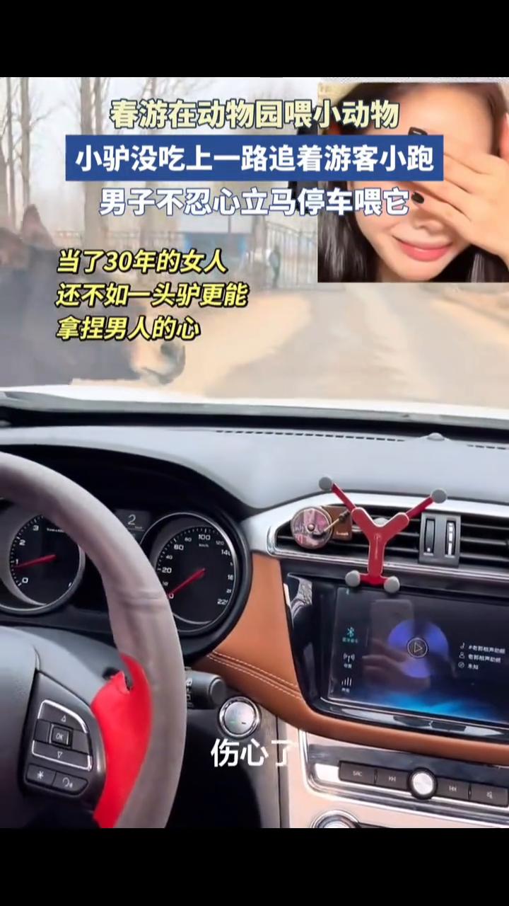 春游在动物园喂小动物，小驴没吃上一路追着游客小跑，男子不忍心立马停车喂它。
当了