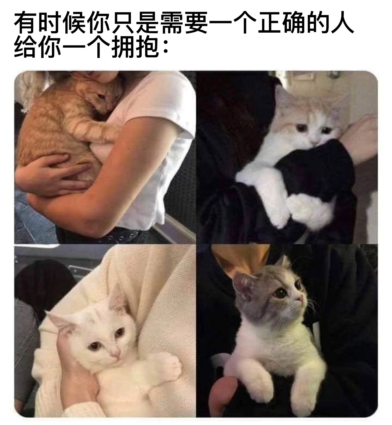 谁呢#今日memes# //#龙年造梗大赛# ​​​