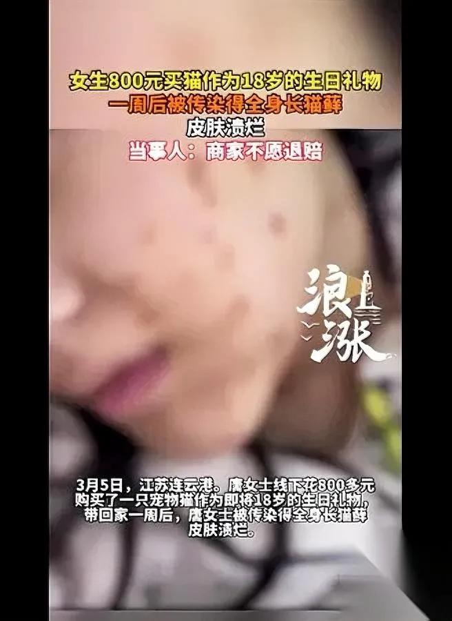 18岁礼物变“坑”

花800买的小猫，

一周后把我弄成了“烂皮肤”。

我本