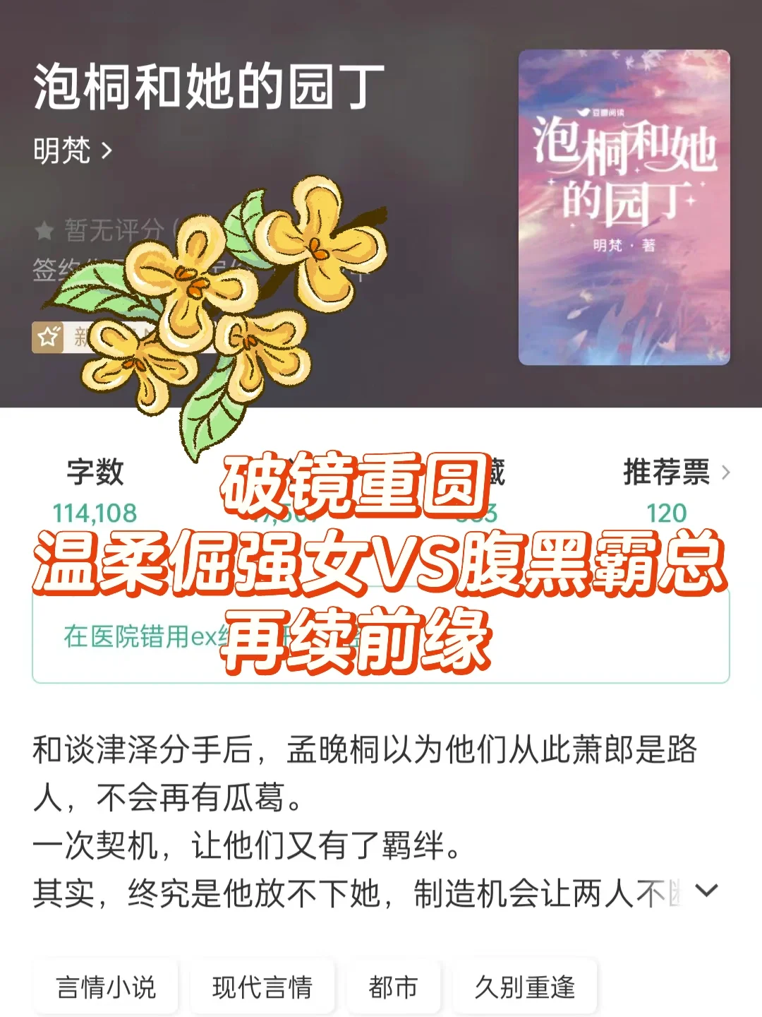 在线急⁉️多年后错用前任霸总给我开的亲密付