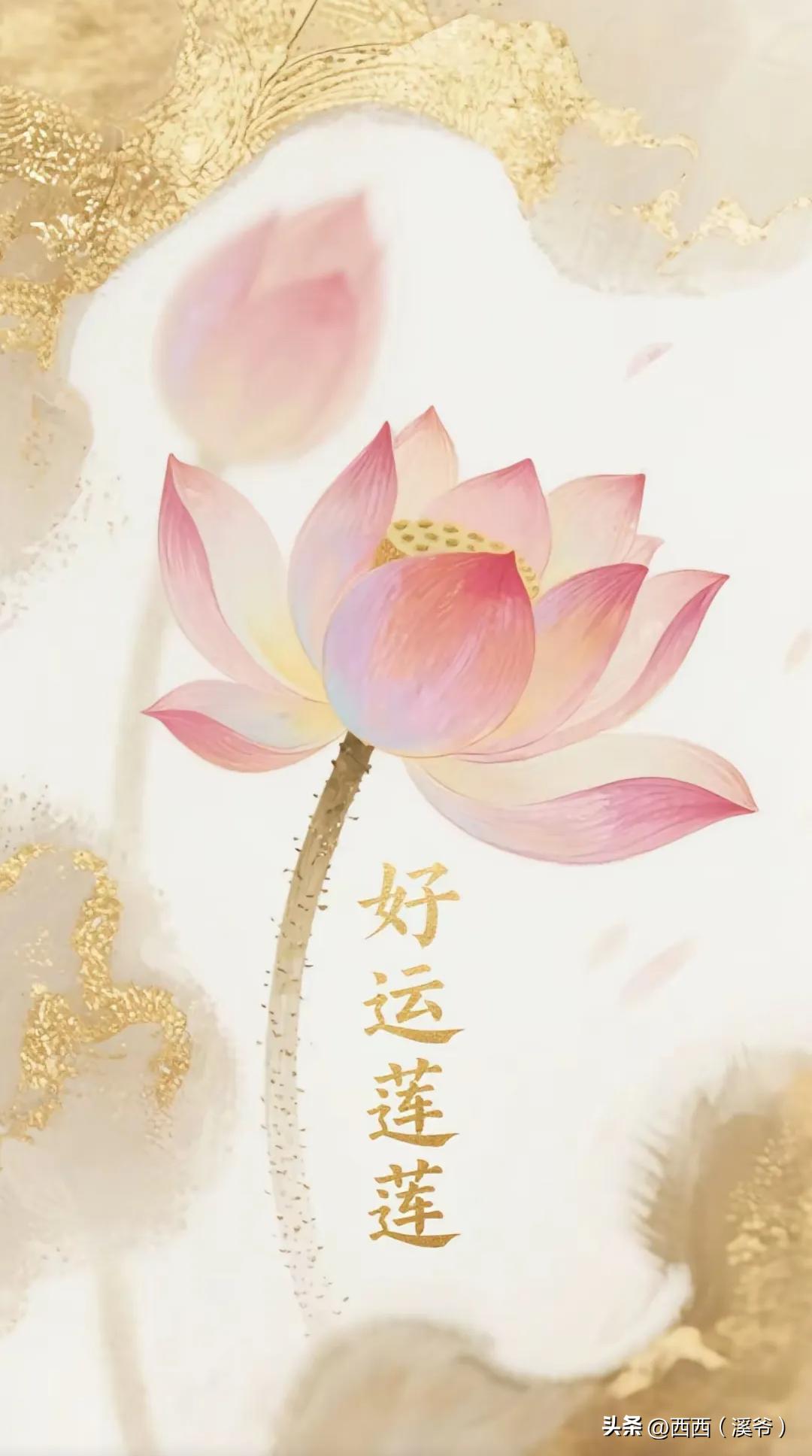 《生活的色彩》
 
在喧嚣的城市中，我们总是匆匆忙忙，追逐着所谓的梦想和成功。但