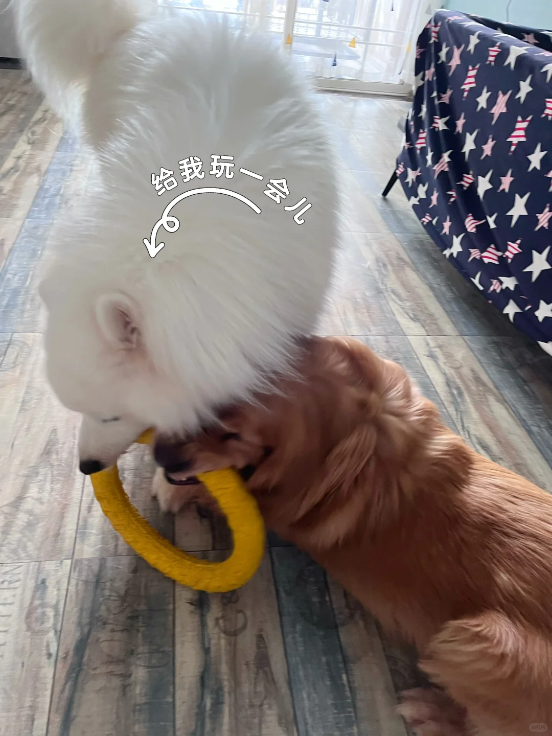 小暑在家吹空调玩玩具