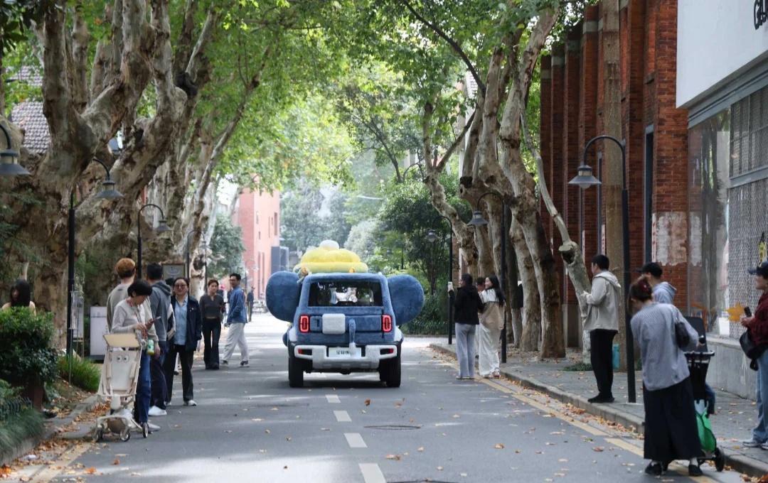 南京街头警报！一批 “可移动对象” 正在出没！软萌模样让人移不开眼～