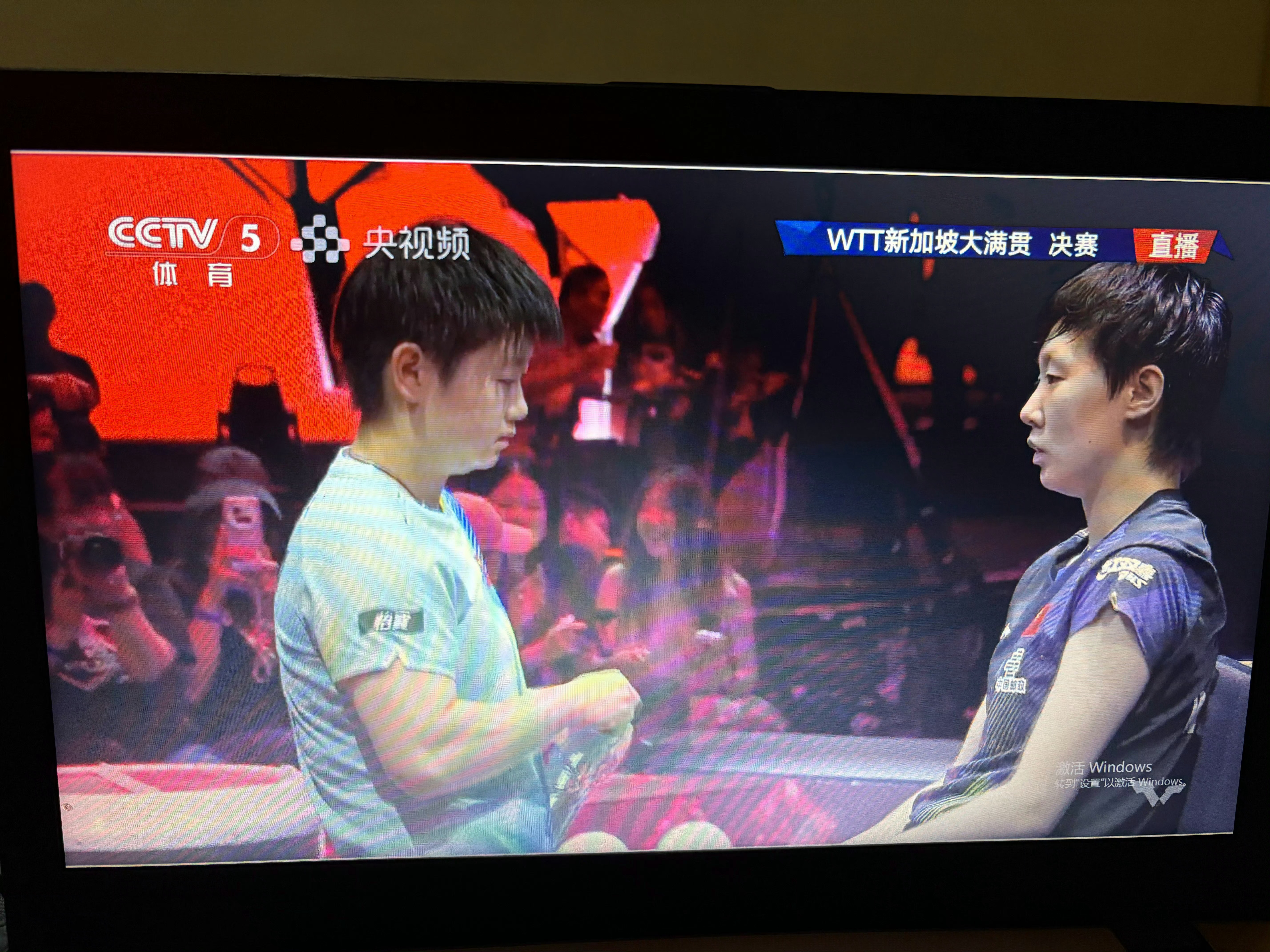 孙颖莎vs王曼昱WTT新加坡大满贯女单决赛，孙颖莎、王曼昱再次巅峰对决，至于谁最