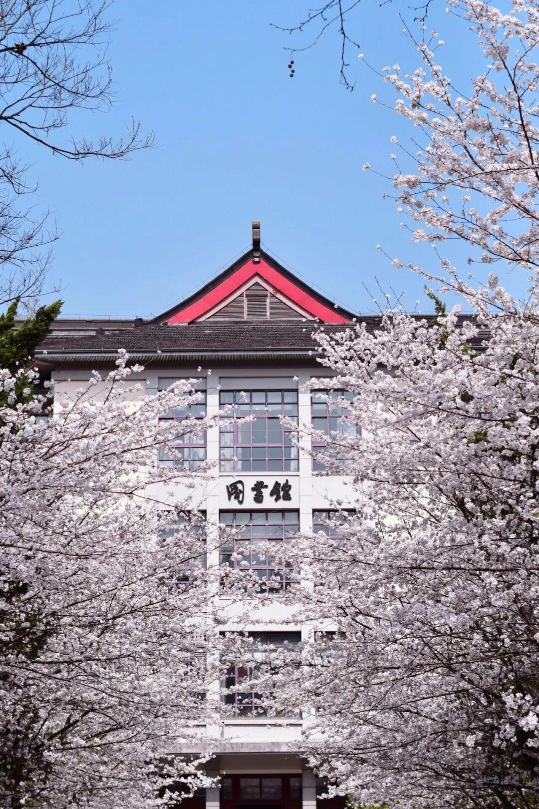 南京赏樱花的好地方
南京有很多地方可以看樱花，比如玄武湖的樱州。还有很多地方普通