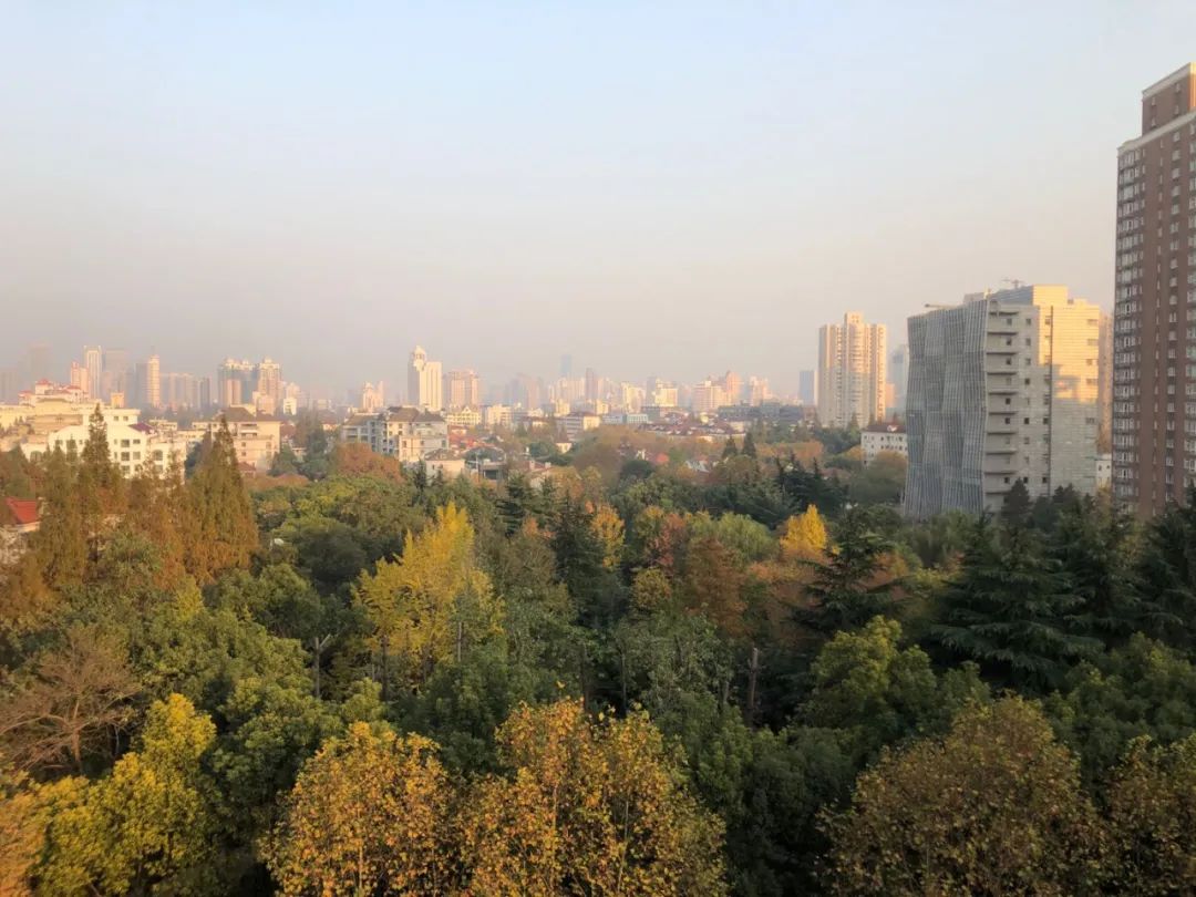 魔都房房房|内环内长宁区神秘顶豪「华山丽苑」突发稀缺三席在售 毗邻四大商圈！