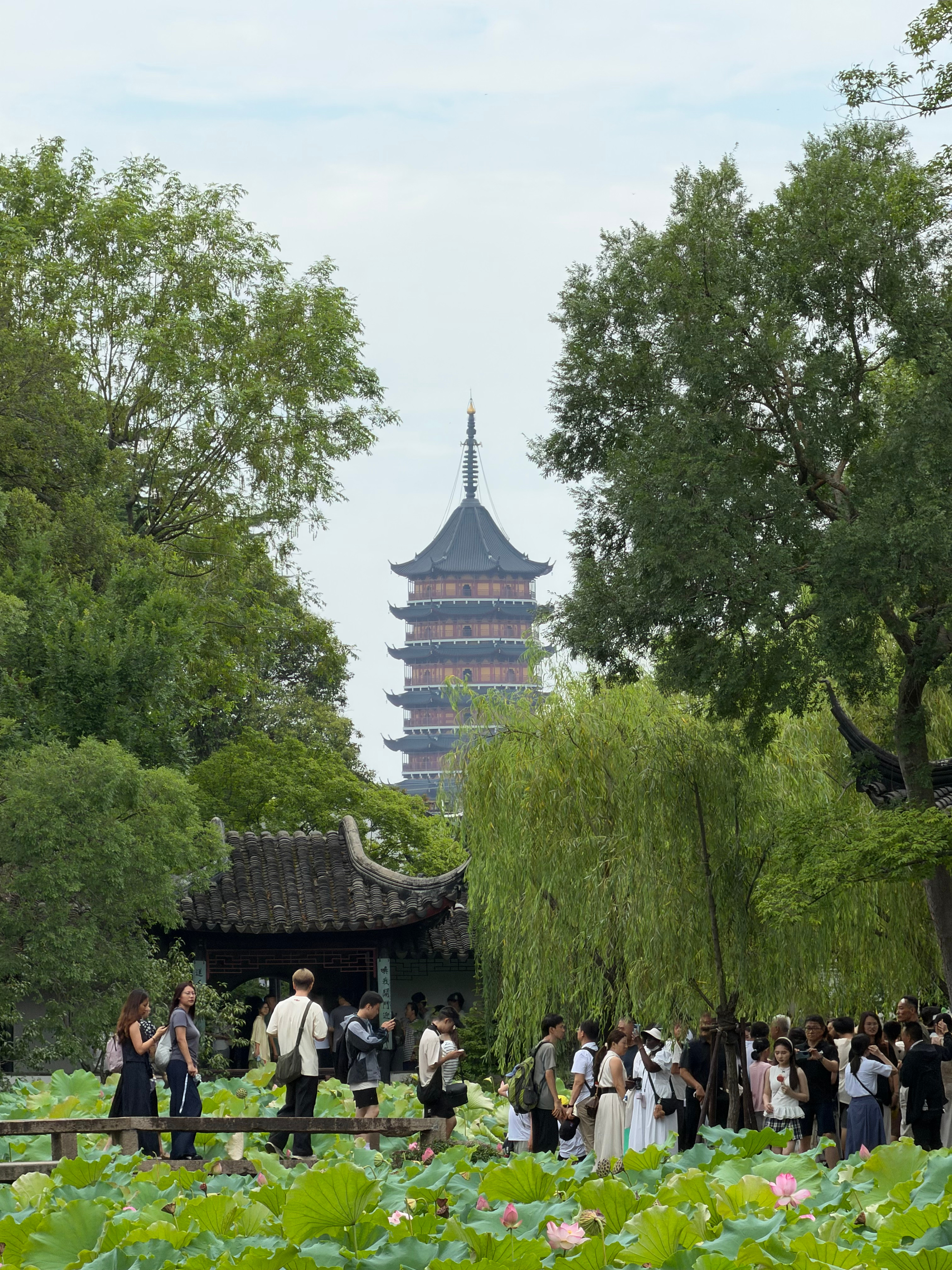 拙政园里面全是人… 都是人 早上去还可以…这次把园林都看了一遍，有荷花的时候比冬