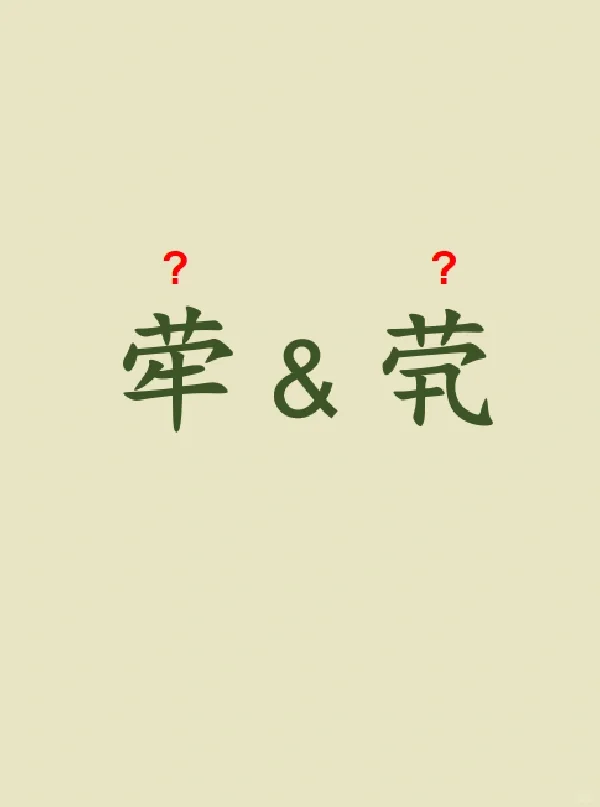 今天来学习——荦&茕