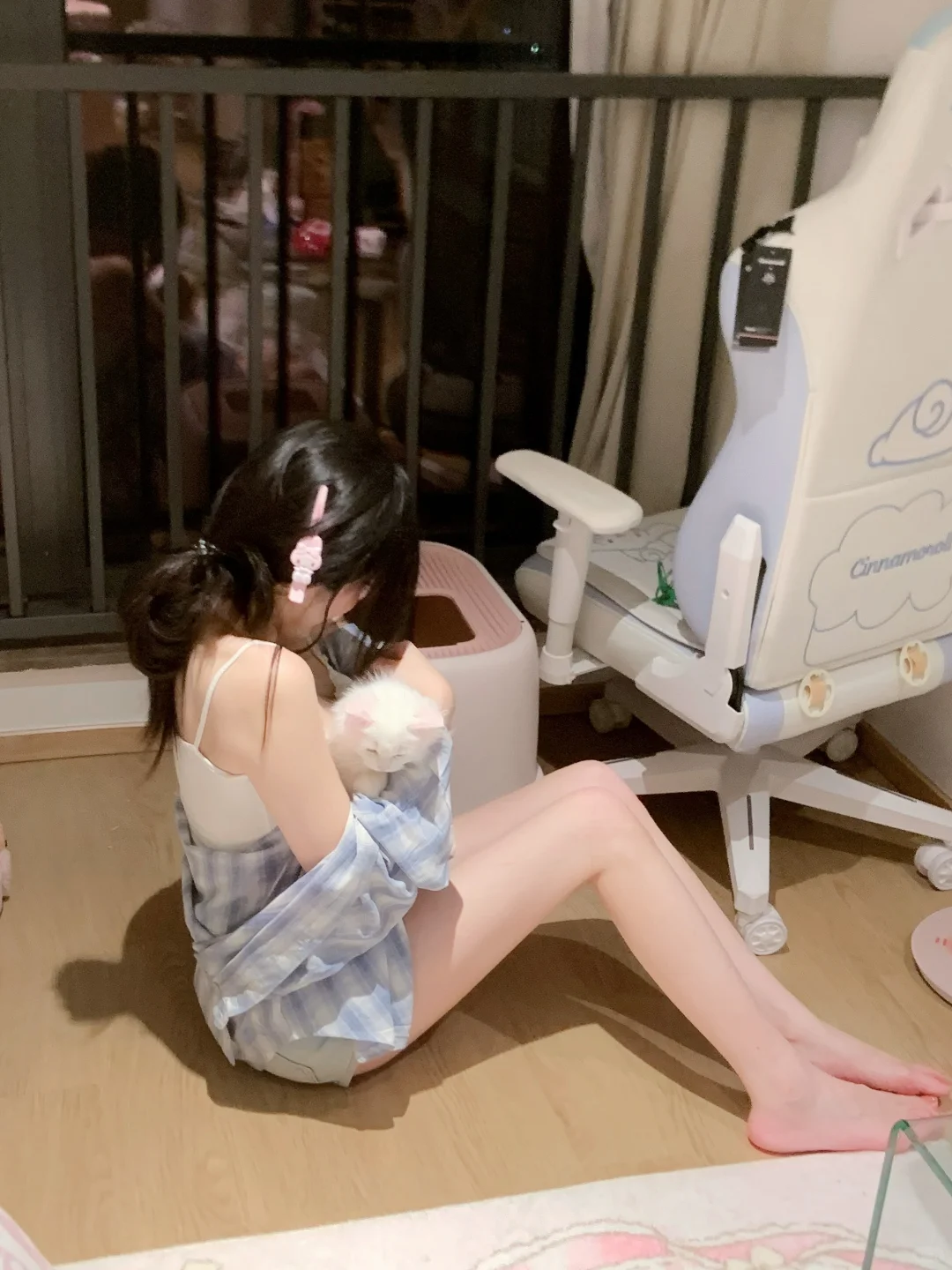抓到你啦 小猫