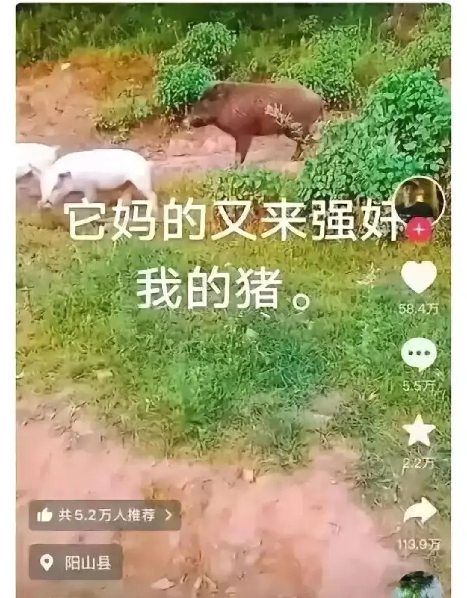 纯纯嫉妒