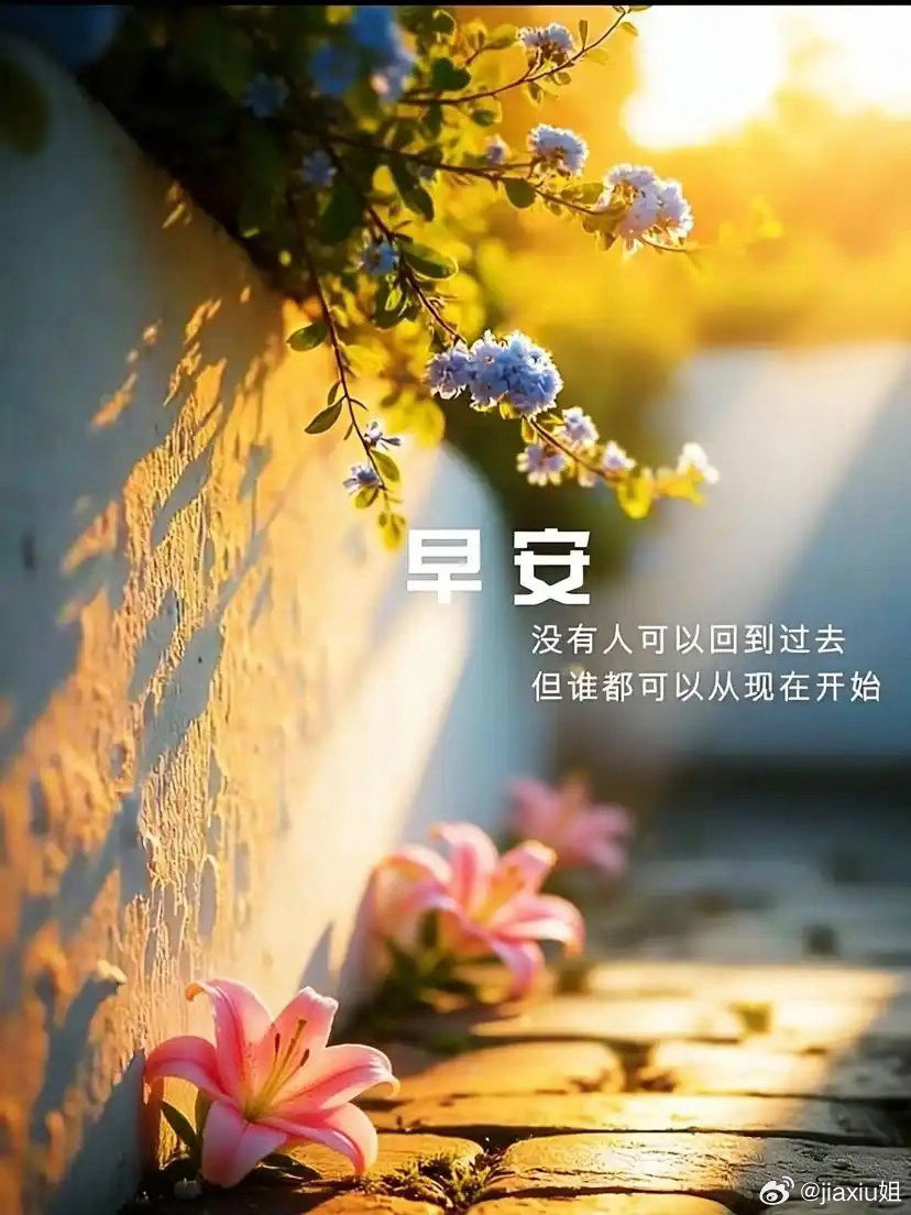 各位早安🌻 向阳而生，逆风翻盘不抱怨，不放弃，把每一次挫折都当成成长的养分，把