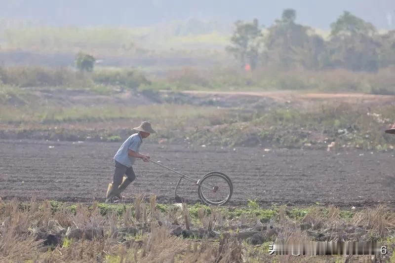 马年确是不平凡，
农民耕地好种田。
真抓实干无需言，
五谷丰登是兆年