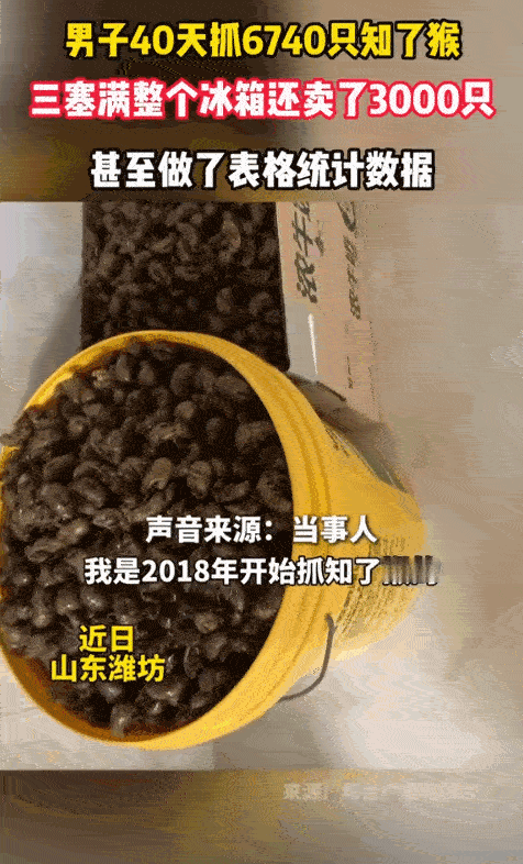 “太震撼了！”山东潍坊一男子痴迷于抓知了猴，起初还只是为了消遣时间随便抓着玩，慢
