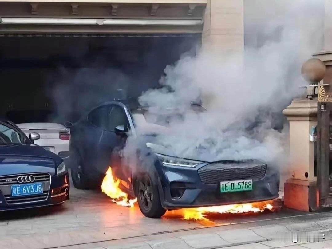 这是什么情况，吓到我了！