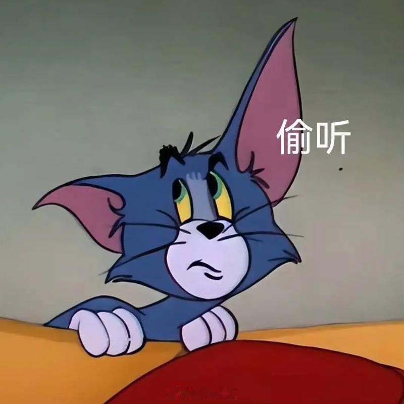 哪个App偷听最严重小陶，小抖，小红偷听都挺严重的，每次要干什么一打开就推送相关