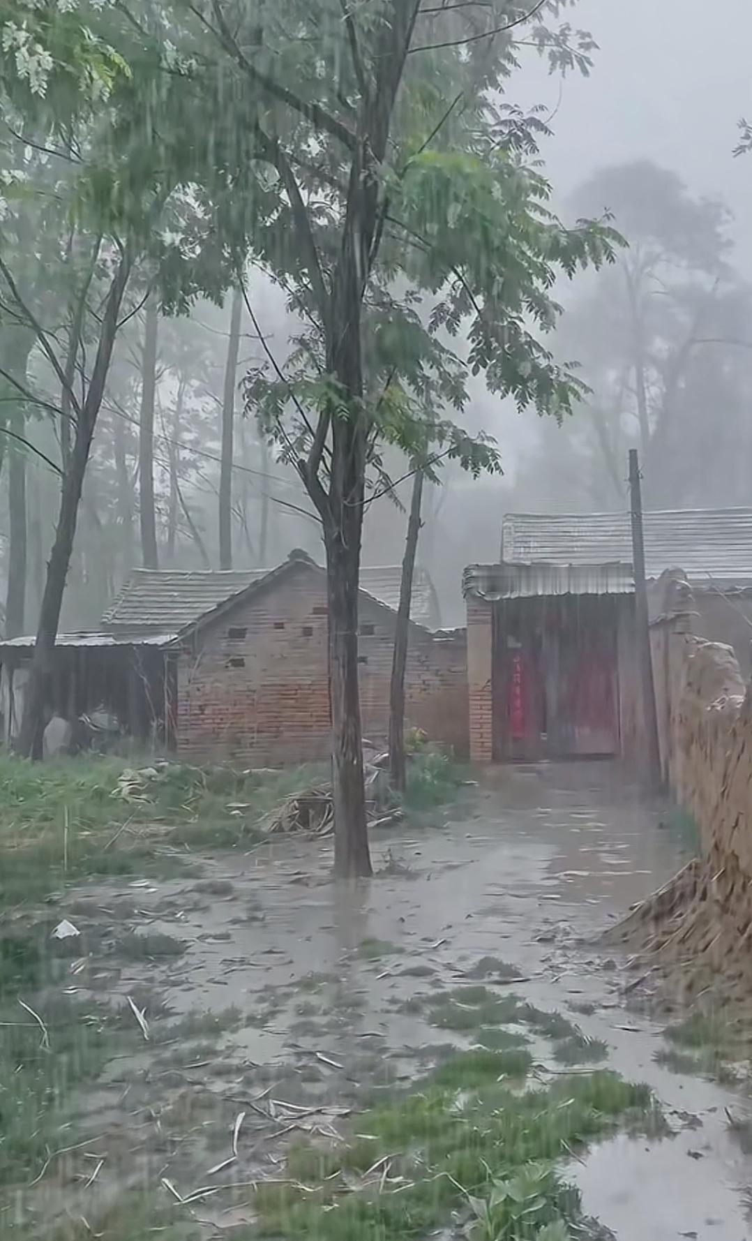 下雨天，乡村小路泥泞不堪。山东鲁西南老家下雨🌧️了，还记得小时候玩过的地方吗？