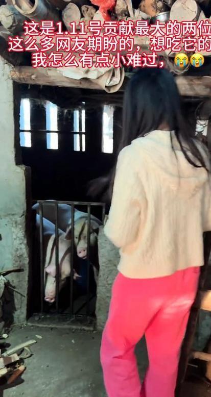 重庆合川女孩“呆呆”因求助杀猪意外走红，3天涨粉超200万。上千网友自发赴村帮忙