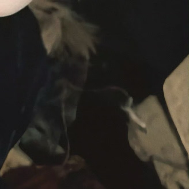 善良是一棵生机无穷的种子，只要你舍得播种，就会有你意想不到的甜果；善良是一束美丽