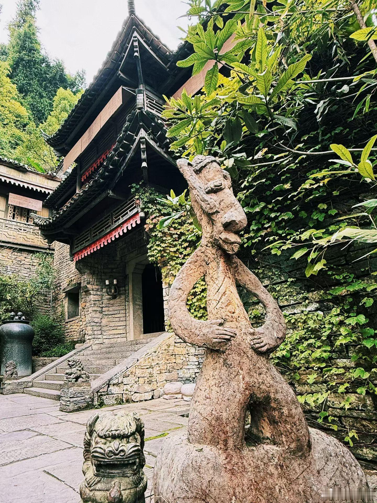 一张图证明我来过这里很久没来宜昌了，三峡人家值得走走12年没来了  ​​​