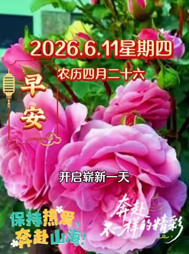 ☀️早上好☀️
2026.6.11星期四
朝阳轻洒落，
问候暖心窝。
日日平安语