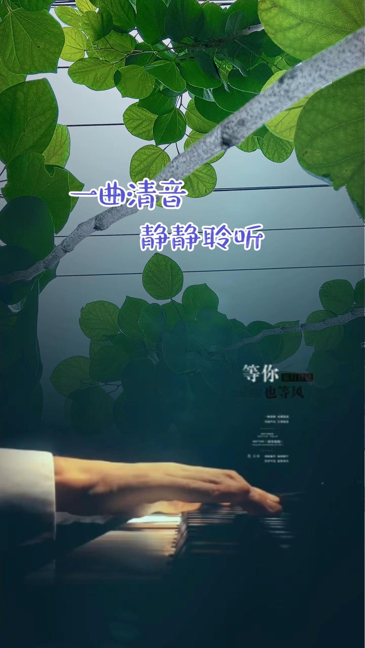 忙忙碌碌的日子里，一曲清音治愈满身疲惫。玩法合伙人计划 治愈系音乐 创作者 人间