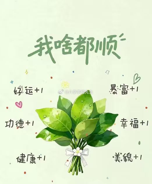 接“我啥都顺”好运+1 暴富+1 健康+1 美貌+1 幸福+1 