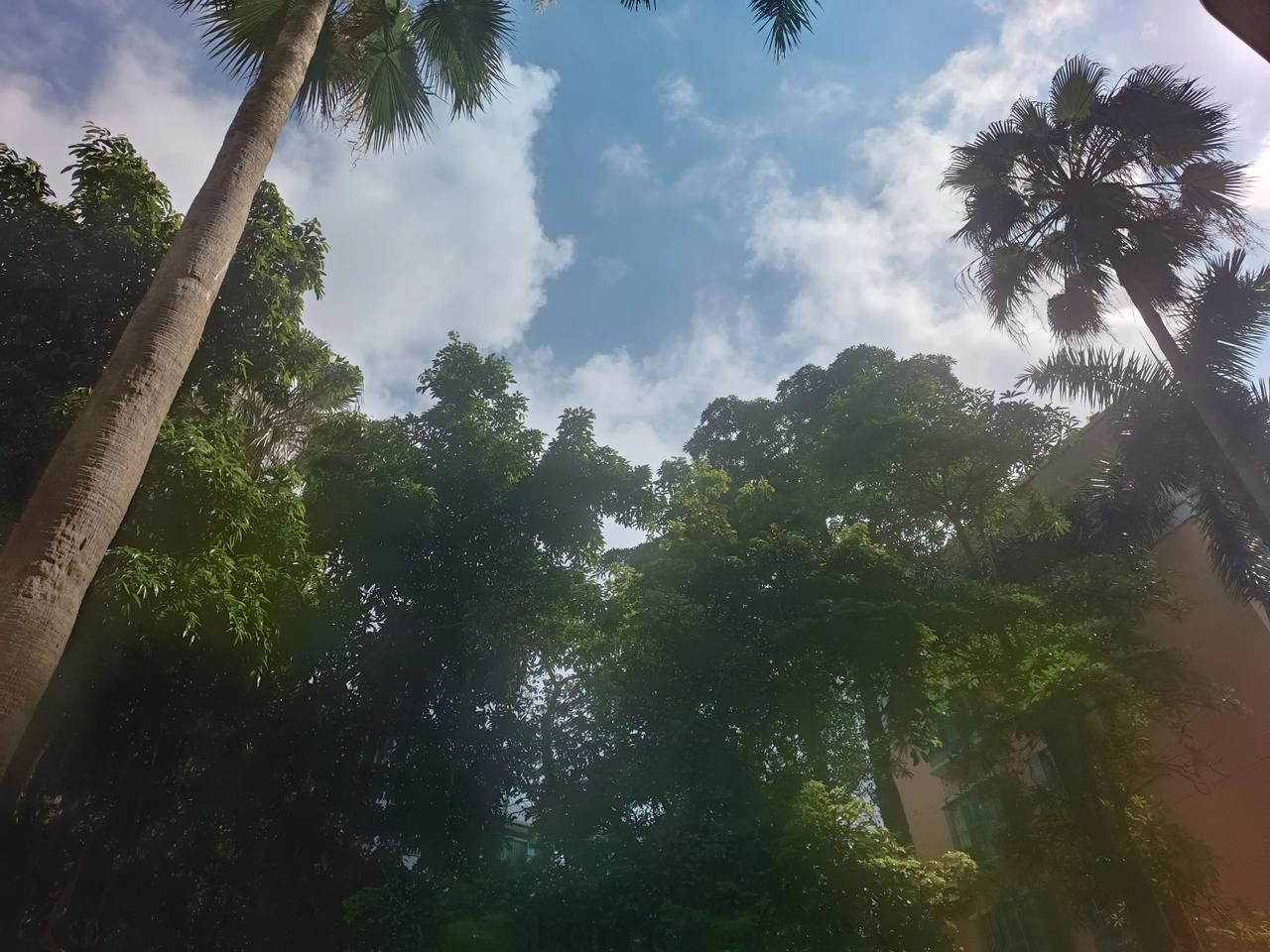 星期一晚上
下雨了！
吃过饭，打开手机
打打卡，记录生活记录美
哈哈，晚上好
[