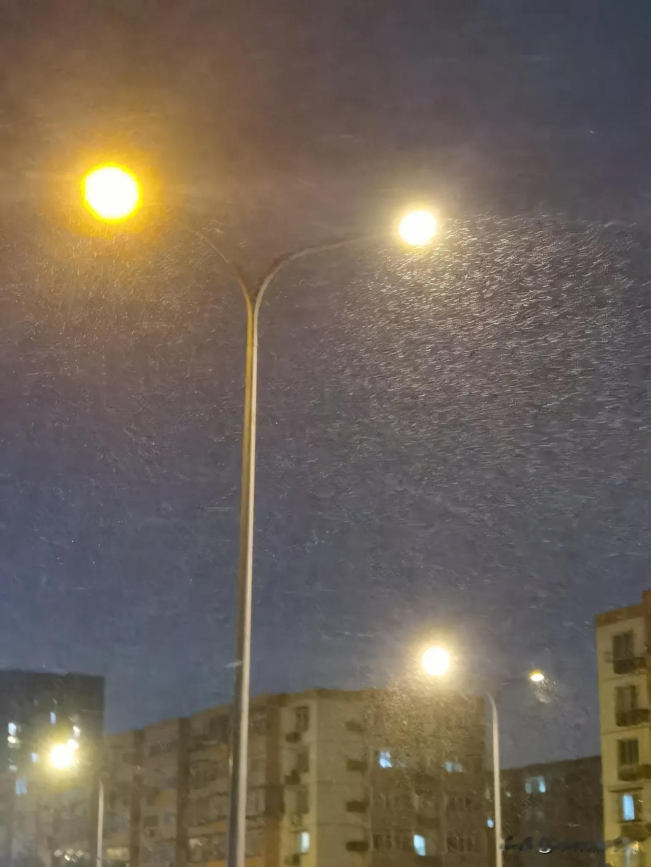 初雪迟两日
猖狂只一时
风寒透衣裤
路灯笑我痴
2024年11月26日的北京
时