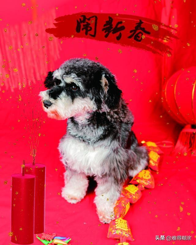 一人一句新年祝福 新年到，祝福到！给大家整点不一样的。愿咱新的一年，生活像开了挂