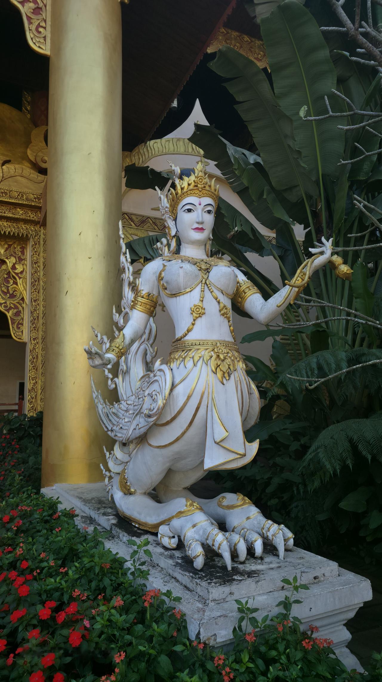 分享一张最近随手拍的照片这是在西双版纳傣族自治州景洪市旅游时拍的照片，西双版纳真