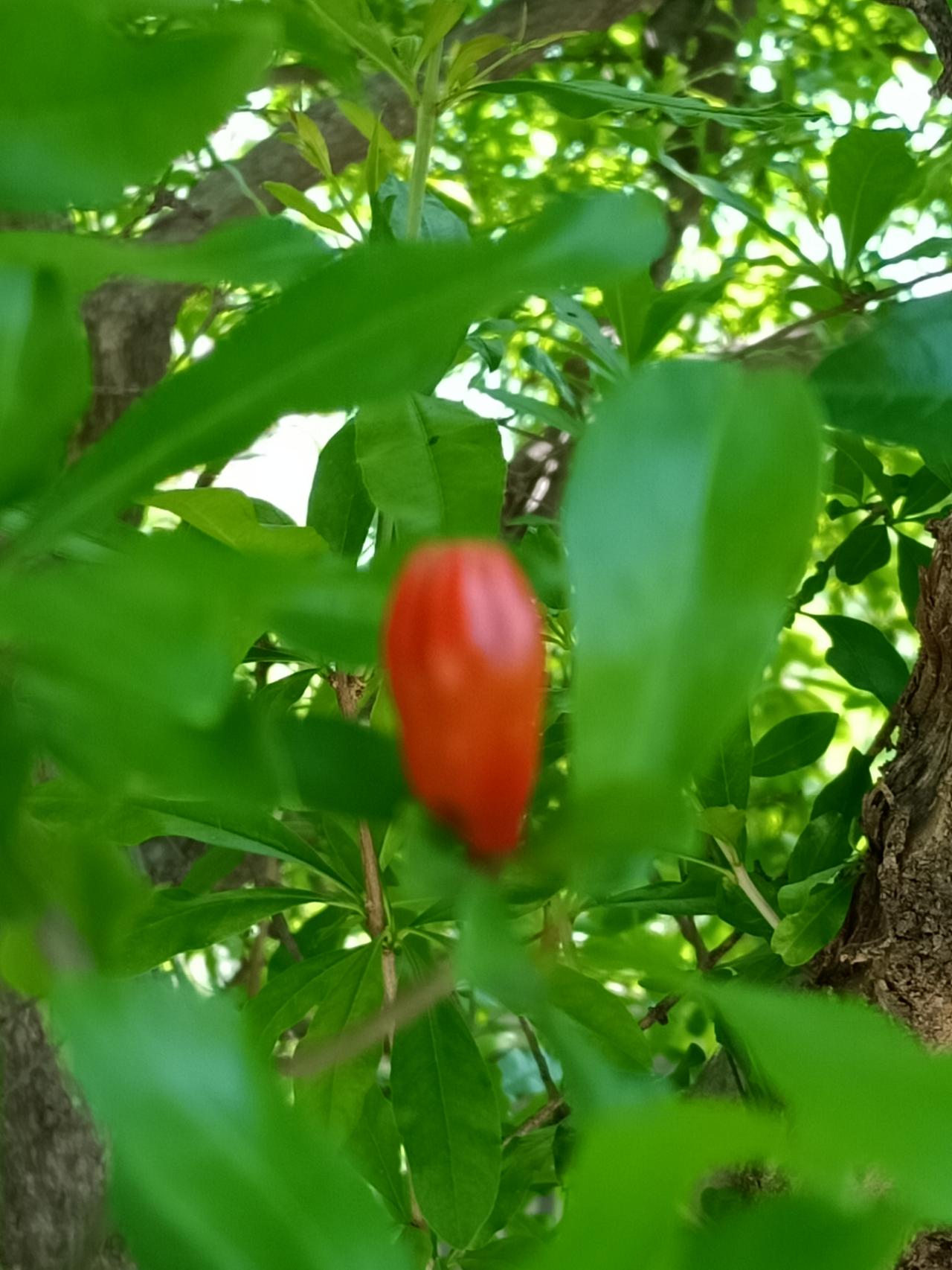 开心多一点，烦恼少一点。
财源广进，平安健康，
幸福吉祥，万事如意！