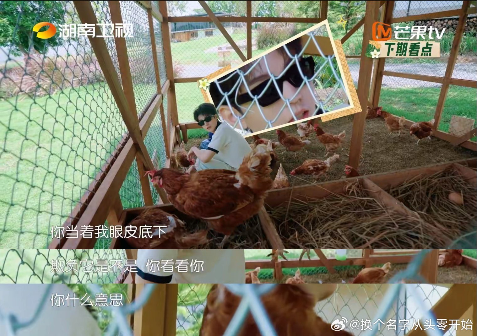 王俊凯整治鸡圈霸凌 王俊凯真的是综艺之神眷顾的人，连鸡圈里的戏都能演得这么精彩，
