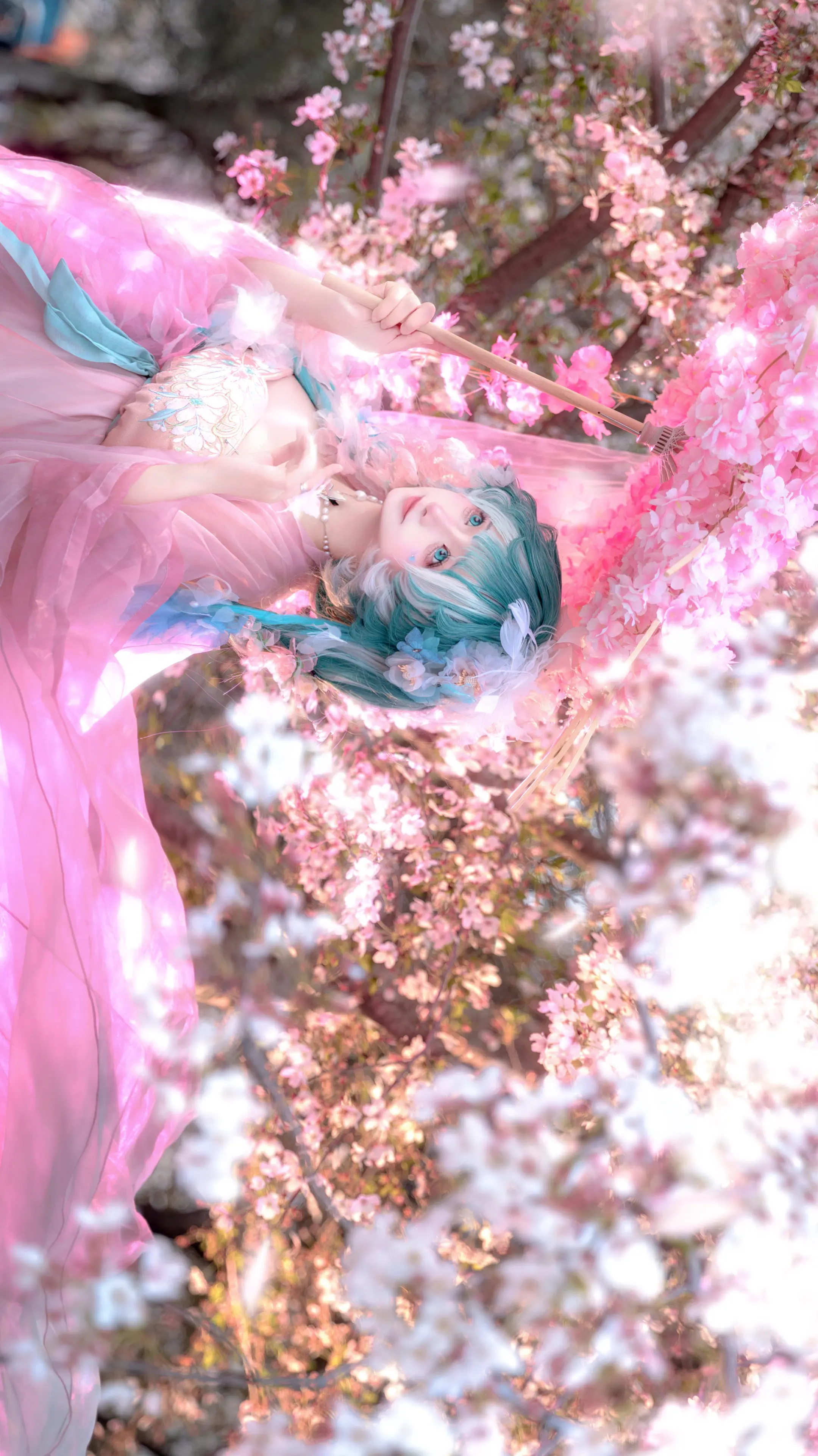 弄香花满衣·花仙Miku🌸。📷