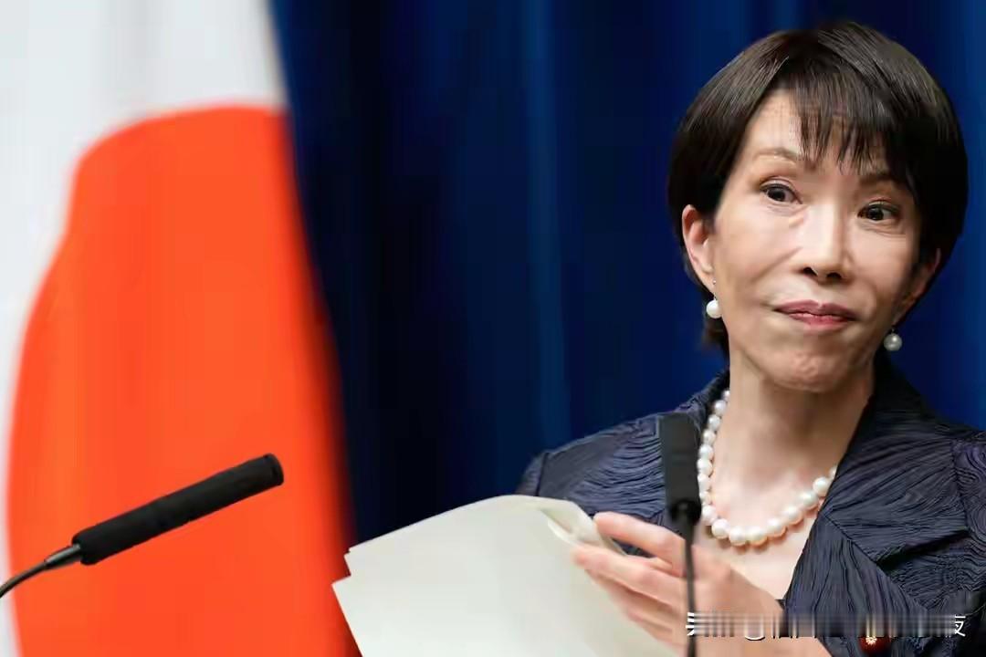 2026年首次出手，中方痛击日本，决定全面断供稀土，理由众所周知