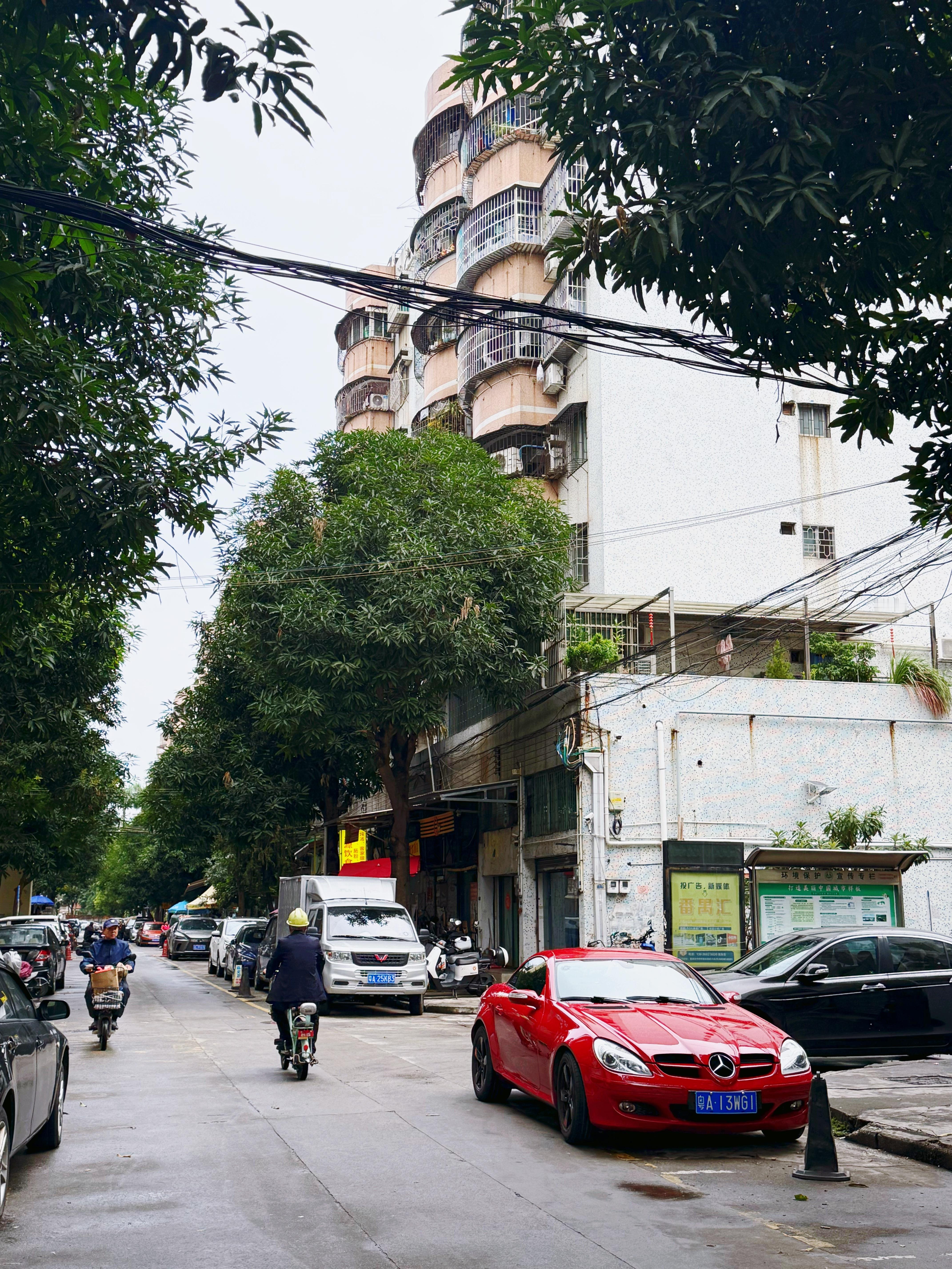 市桥里最帅的仔 