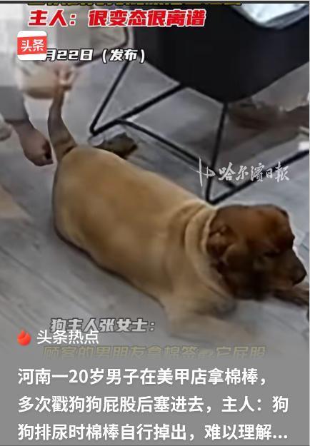 这年头真是林子大了什么鸟都有！河南南阳一20岁小伙陪女友做美甲，趁店主不备拿起棉