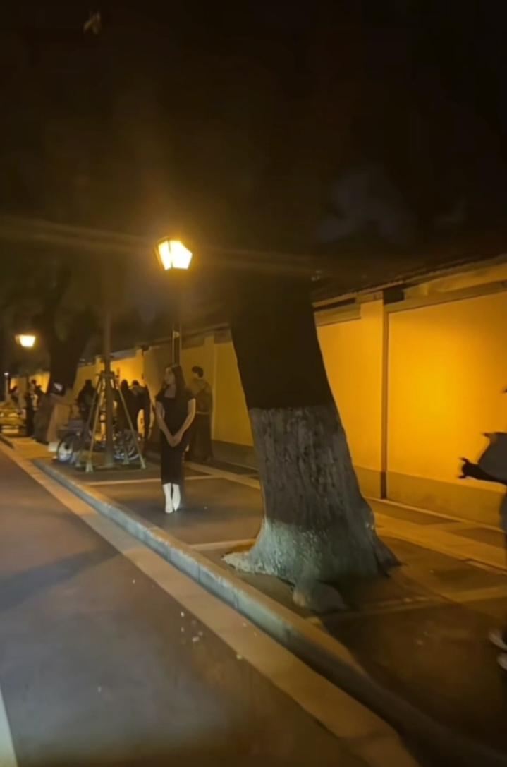 七律  金陵夜遇学子

秦淮春日柳扶楼，
夜色长街灯火幽。
不见抚琴窗映杏，
难