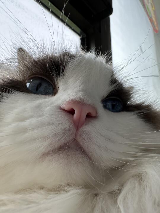 人，亲嘴吗💋