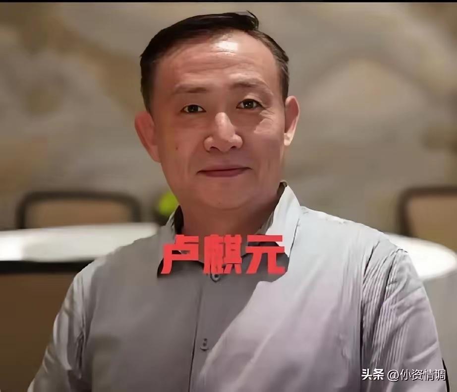 卢麒元在中批评“十五五”规划中隐含的华盛顿共识。他认为，某些人试图把水、电、通信