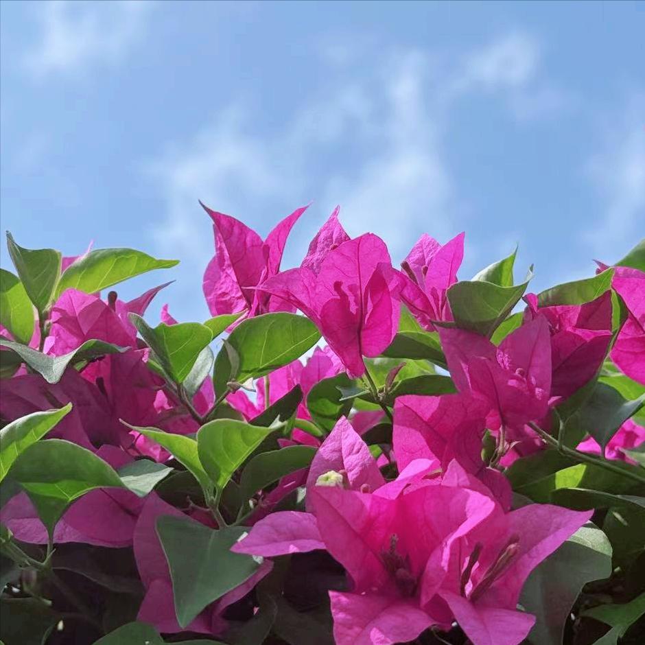 甘孜迎来新的政府主要负责同志
 
4月1日，今年54岁的杨宏寿履新该地。
 
该