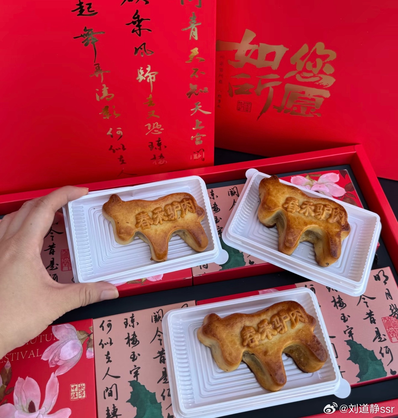保定的月饼竟然的毛驴样子的[允悲]  ​​​