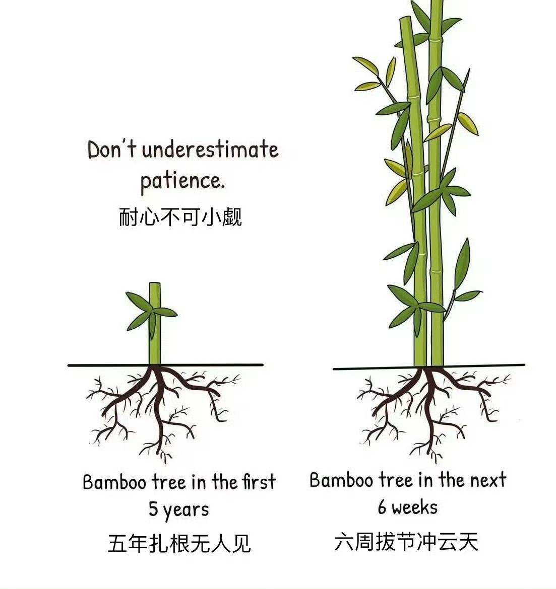 永远别低估耐心和复利的力量 ​​​
