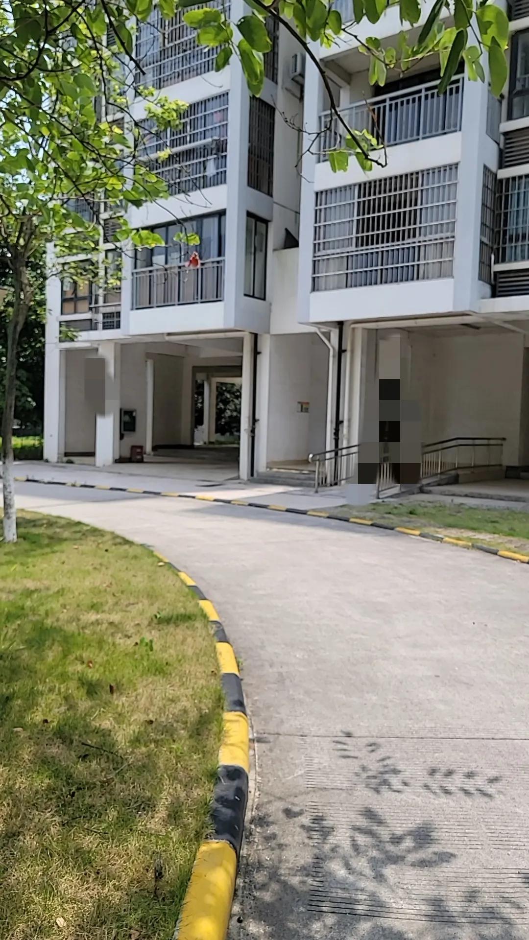 今天我去雇主家看带孩子的单子，这小孩挺犟的，醒来没及时冲奶，就哭尖声大叫的，宝妈