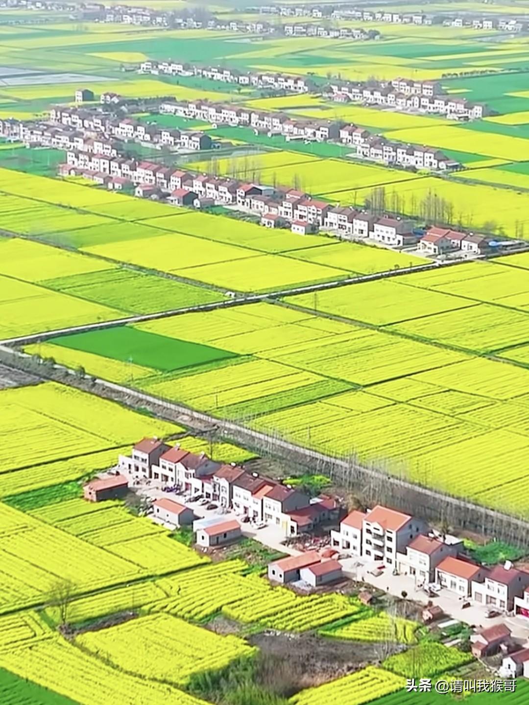 如果你有500万，你是愿意待在城市里，还是愿意住在这样的农村呢？