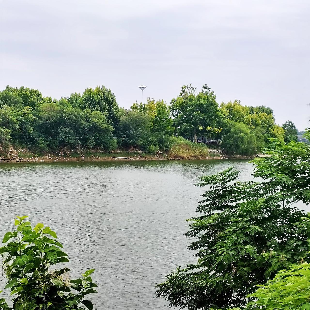 昨天上午在沈丘沙颍河两岸散步，看至沙颍河湿地公园美景，拿起手机随手拍了几张照片，