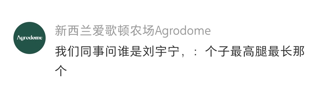 给新西兰人民一点点震撼 