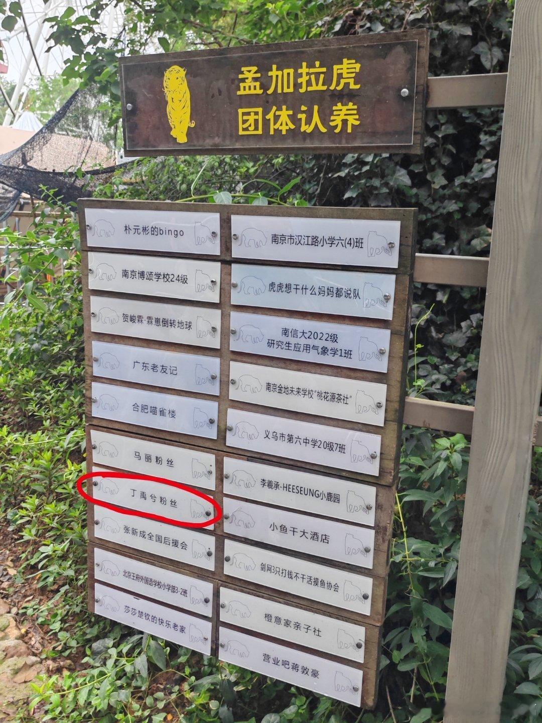 出去玩发现，丁禹兮的粉丝真的很爱动物！狼，孟加拉虎，东北虎都认养过，粉随正主了 