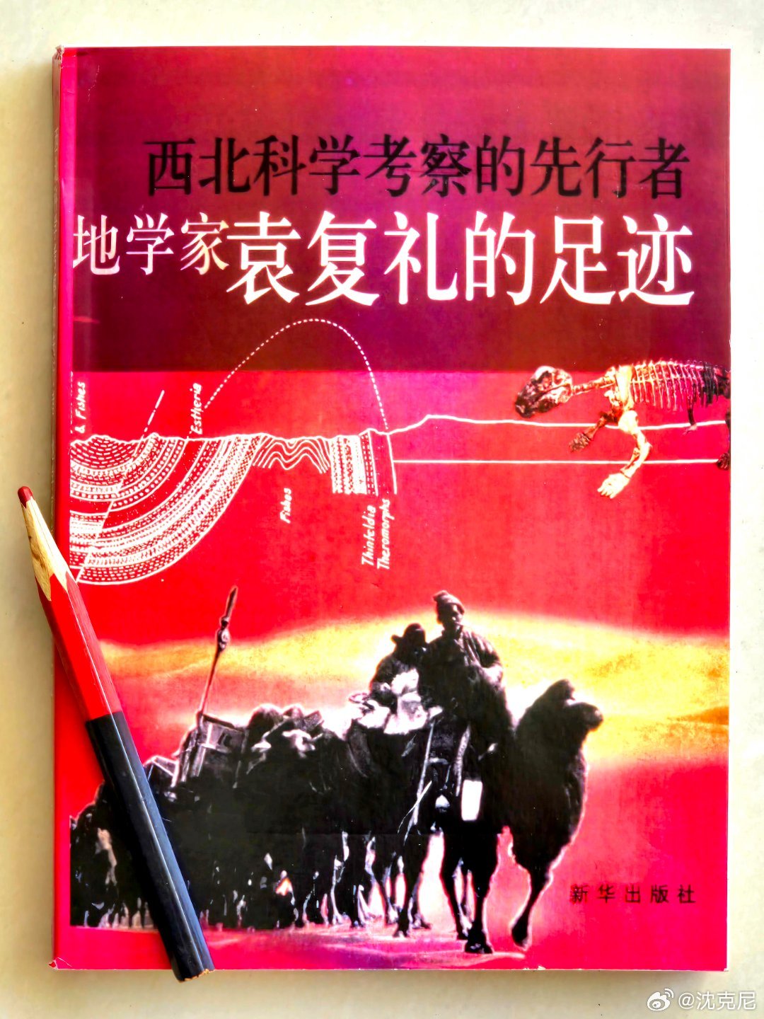 晨早读《地学家袁复礼的足迹》中《地形图的故事》。1946年，袁复礼先生与北大和西