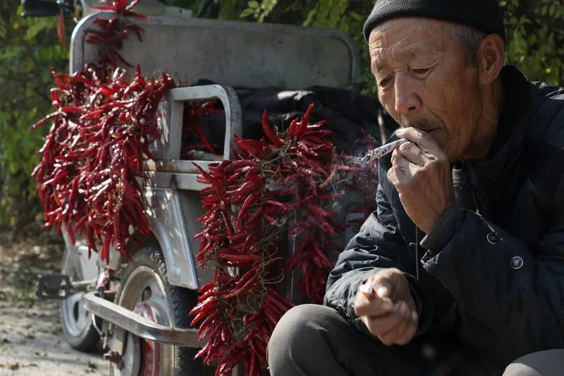 《农村老人的晚年：质量与生存的挣扎》

在广袤的农村大地上，老人们的晚年生活如同